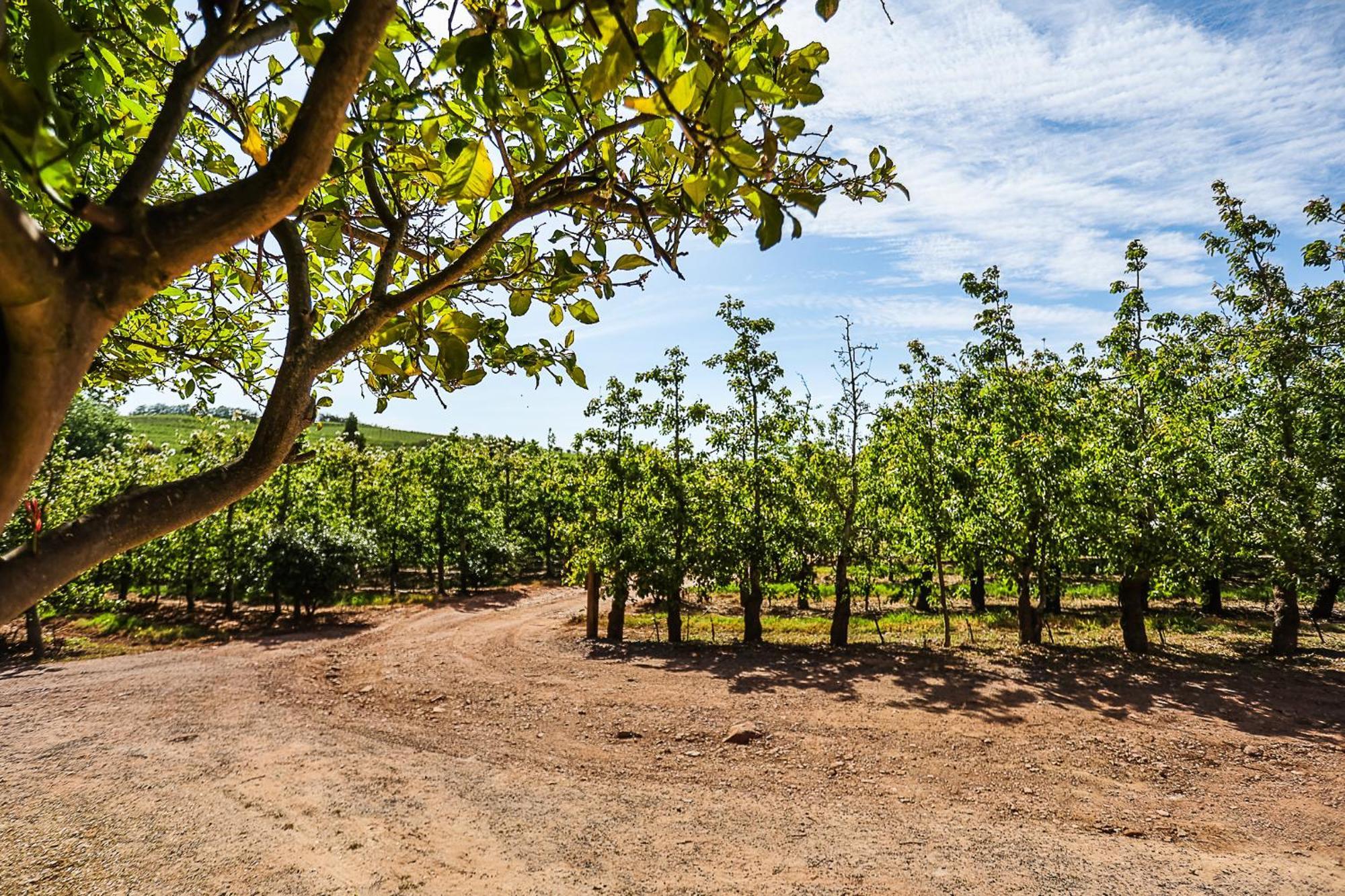 Villa Galileo Farm Elgin  Exterior foto