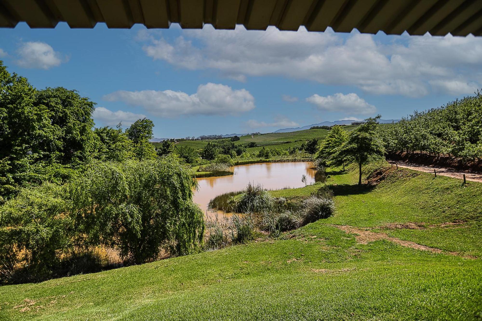 Villa Galileo Farm Elgin  Habitación foto
